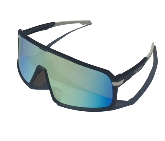 Sunglasses BejkRoll Champion Revo - black/white