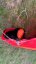 Kite NAISH S26 Triad 6m only