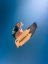 Kiteboard 2026 NOBILE NHP Split Carbon
