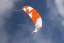 kite 2016 PETER LYNN Leopard
