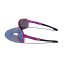 Sunglasses BejkRoll Champion Revo - transparent purple