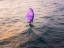 Wing-Surfer FLYSURFER TAO2 Boom - Violet