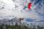 Kite 2023 NAISH Triad - Veľkosť kitu: 8m, Farba: Červená